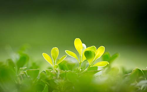 英國(guó)樸茨茅斯大學(xué)留學(xué)排名 樸茨茅斯大學(xué)簡(jiǎn)介